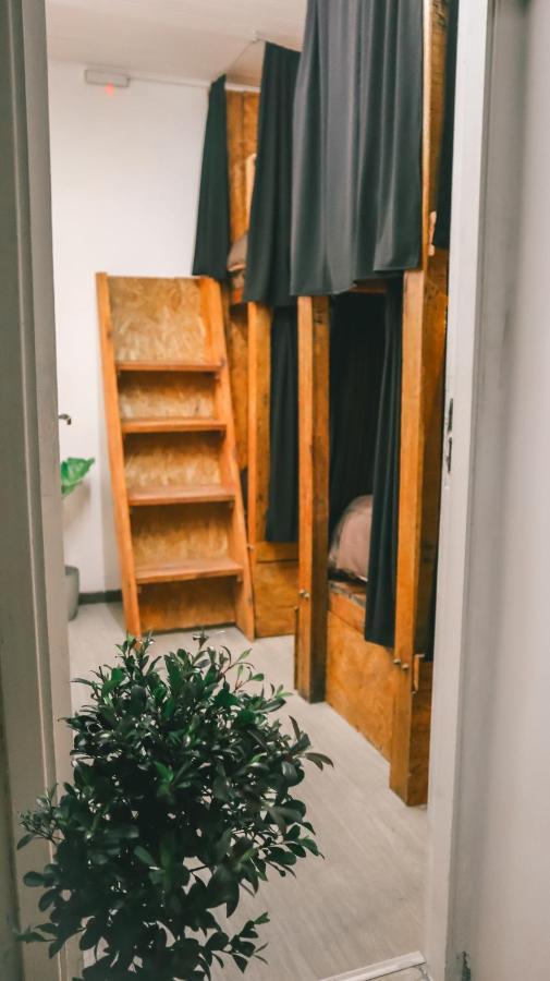 Hilda House Hostel مار ديل بلاتا المظهر الخارجي الصورة